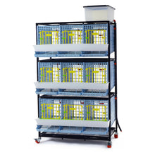 Load image into Gallery viewer, Partridge Cage - 3 Layer