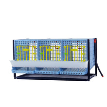 Load image into Gallery viewer, Partridge Cage - Layer addition