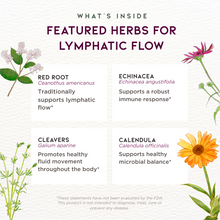 Load image into Gallery viewer, Lymph Mover, Immune Strength
