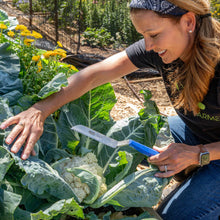 Load image into Gallery viewer, Harvest Knife for Spinach & Leafy Greens- Serrated