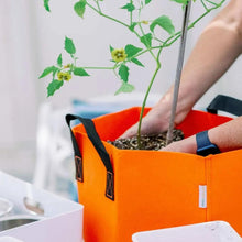 Load image into Gallery viewer, Grow Bags - 7 Gallon Colored Fabric Pots