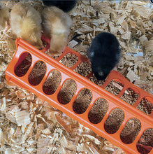 Load image into Gallery viewer, Columbia 12 Trough Feeders - Orange