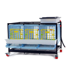 Load image into Gallery viewer, Partridge Cage - 1 Layer