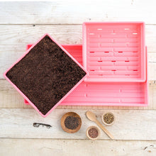 Load image into Gallery viewer, 1010 Microgreens Kit