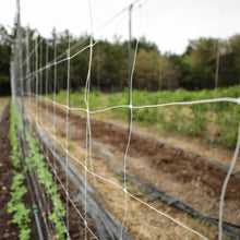 Load image into Gallery viewer, Trellis Netting | 6" Mesh