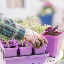 Load image into Gallery viewer, 3.3" Heavy Duty Seed Starting Pots with Inserts