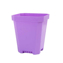 Load image into Gallery viewer, 5" Nursery Pots with Insert Tray