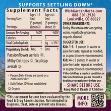 Load image into Gallery viewer, Quiet Time Calm & Center For Kids