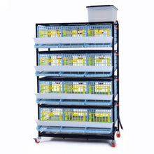 Load image into Gallery viewer, Quail Cage - 4 Layer