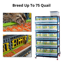 Load image into Gallery viewer, Quail Professional Kit