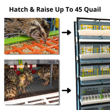 Load image into Gallery viewer, Quail Semi-Pro Kit
