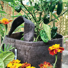 Load image into Gallery viewer, Grey Fabric Planter with Handles - 5 Pack