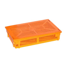 Load image into Gallery viewer, Small Chick Basket (80 Chicks)