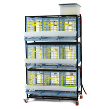 Load image into Gallery viewer, Chicken Cage - 3 Layer H: 15"