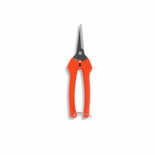 Load image into Gallery viewer, Harvesting Pruning Shears | 185 mm