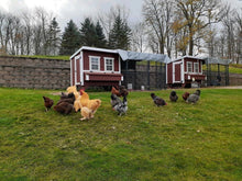 Load image into Gallery viewer, Large Chicken Coop - Up to 15 Chickens