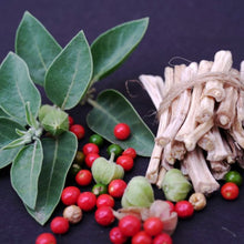 Load image into Gallery viewer, Ashwaganda