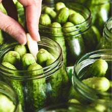 Load image into Gallery viewer, National Pickling Cucumber