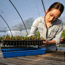 Load image into Gallery viewer, Plug Popper for Cell Trays