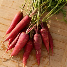 Load image into Gallery viewer, Dragon Carrot