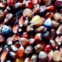 Load image into Gallery viewer, Cassiopeia Popcorn