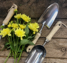 Load image into Gallery viewer, Garden Hand Tool Set - Hardwood and Stainless