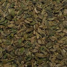 Load image into Gallery viewer, Parsley, Giant of Italy (Petroselinum crispum var. latifolium)