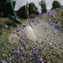 Load image into Gallery viewer, Haws Cradley Deluxe - Watering Can