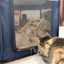 Load image into Gallery viewer, My Pet Chicken Hen Pen Pop-Up Brooder