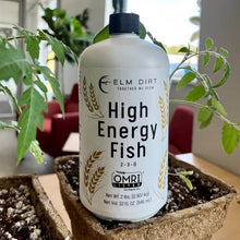 Load image into Gallery viewer, Hi-Energy Fish 2-3-0