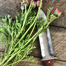 Load image into Gallery viewer, Hori Hori Garden Tool — Japanese SoilTool for Digging & Planting