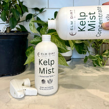 Load image into Gallery viewer, Kelp Mist Foliar Spray