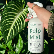 Load image into Gallery viewer, Kelp Mist Foliar Spray
