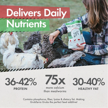 Load image into Gallery viewer, GrubTerra Black Soldier Fly Larvae