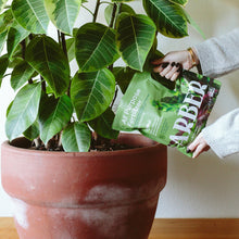 Load image into Gallery viewer, Organic All Purpose Fertilizer