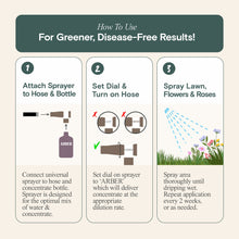 Load image into Gallery viewer, Organic Fungicide for Rose & Flower