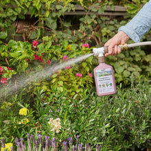 Load image into Gallery viewer, Organic Fungicide for Rose & Flower