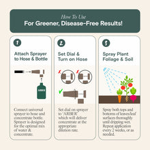 Load image into Gallery viewer, Organic Tomato, Fruit & Vegetable Boost