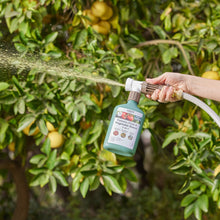 Load image into Gallery viewer, Organic Tomato, Fruit & Vegetable Boost