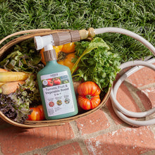 Load image into Gallery viewer, Organic Tomato, Fruit & Vegetable Boost