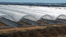 Load image into Gallery viewer, Greenhouse Woven Plastic 8 mil- Solarig 156