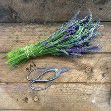 Load image into Gallery viewer, Stainless Garden Scissors (Pruning Shears/Pruners/Secateurs/Clippers)