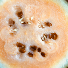 Load image into Gallery viewer, Sweet Siberian Watermelon