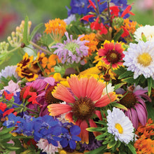 Load image into Gallery viewer, Wild for Wildflowers - Our Grow Kit Gift Box with Wildflowers