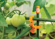 Load image into Gallery viewer, 5-Foot C-Bite Plant Support Kit