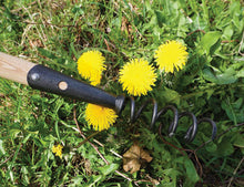 Load image into Gallery viewer, Cork Screw Weeder - Long Handle