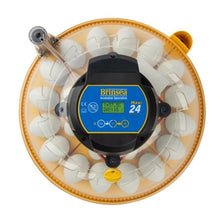 Load image into Gallery viewer, Maxi 24 Advance Fully Digital 24 Egg Incubator