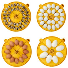 Load image into Gallery viewer, Maxi 24 Ex Fully Automatic 24 Egg Incubator