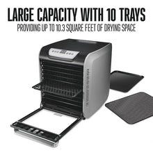 Load image into Gallery viewer, 10-Tray Digital Food Dehydrator With Oven-Style Door