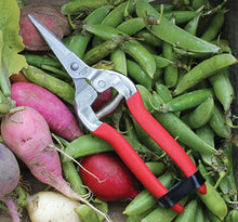 Load image into Gallery viewer, Needle Nose Garden Shears